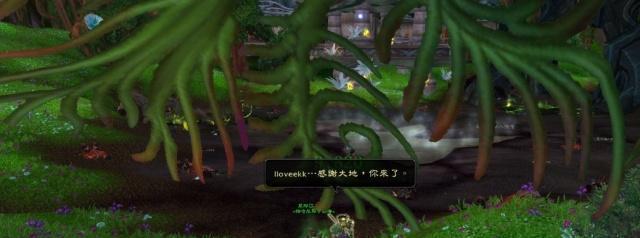 加尼尔母亲之树.jpg